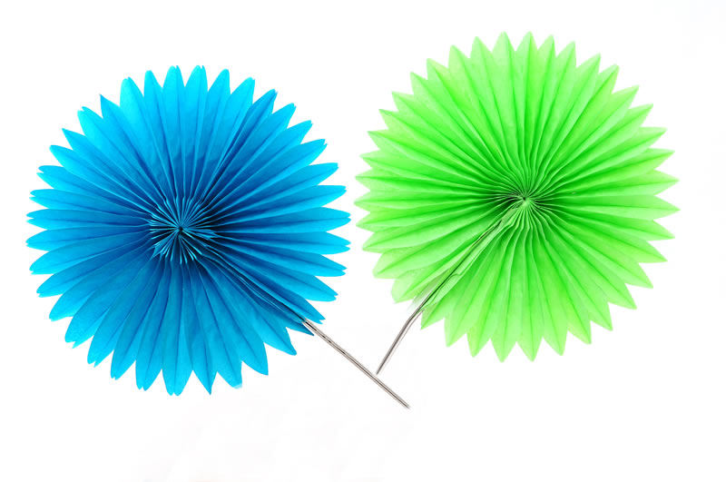 ����������DSC_2700